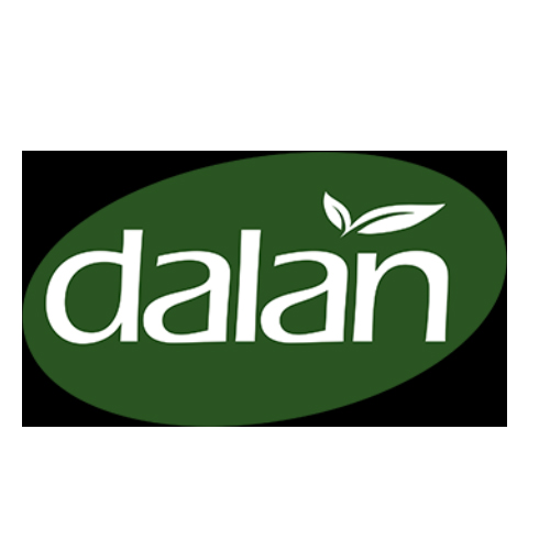 Dalan