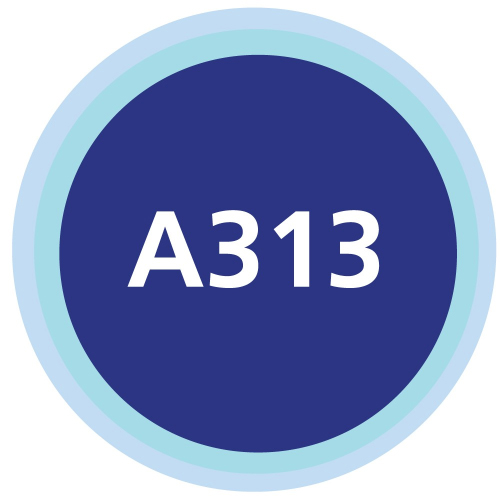 A313